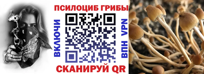 Псилоцибиновые грибы мицелий  Вязьма 