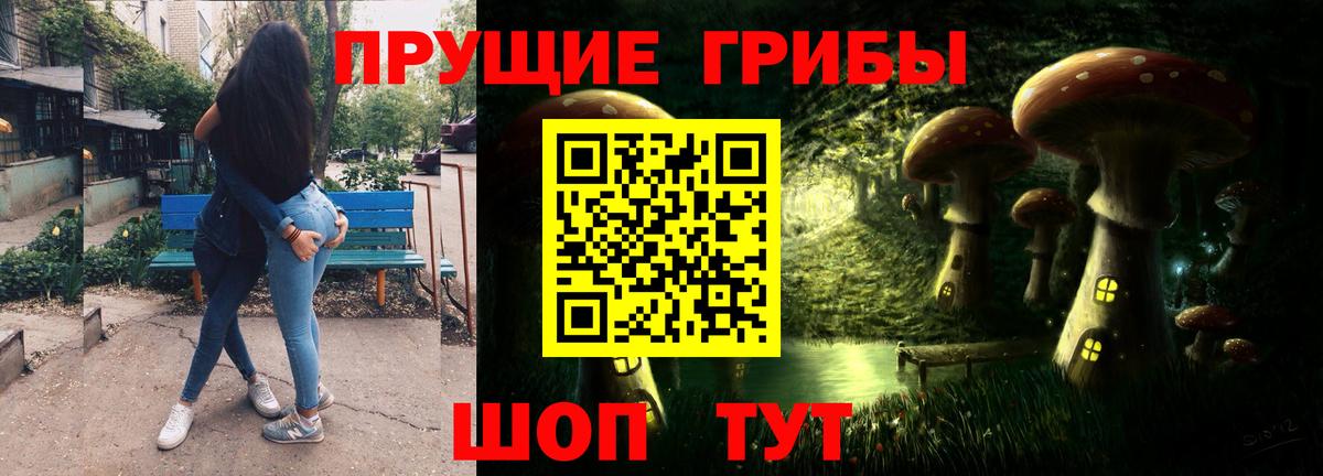Вязьма  Псилоцибиновые грибы прущие грибы  Вход с VPN  Псилоцибиновые грибы ЛСД 