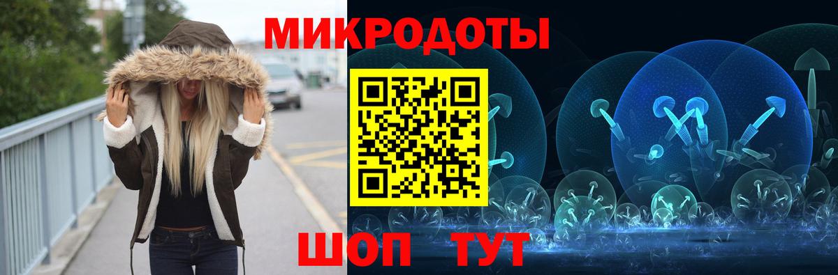 Галлюциногенные грибы мухоморы  Вязьма  Псилоцибиновые грибы Psilocybe 